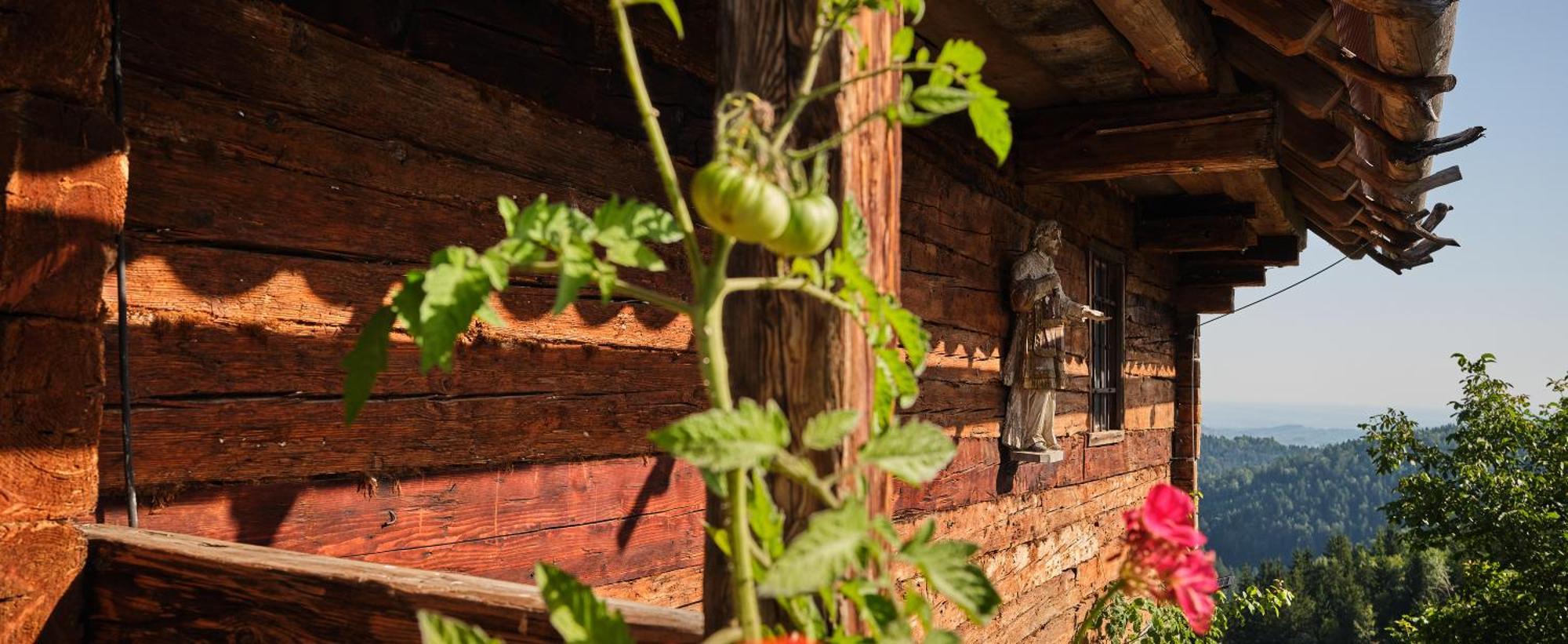 Chalets Toplak Sveti Duh na Ostrem Vrhu Exterior foto