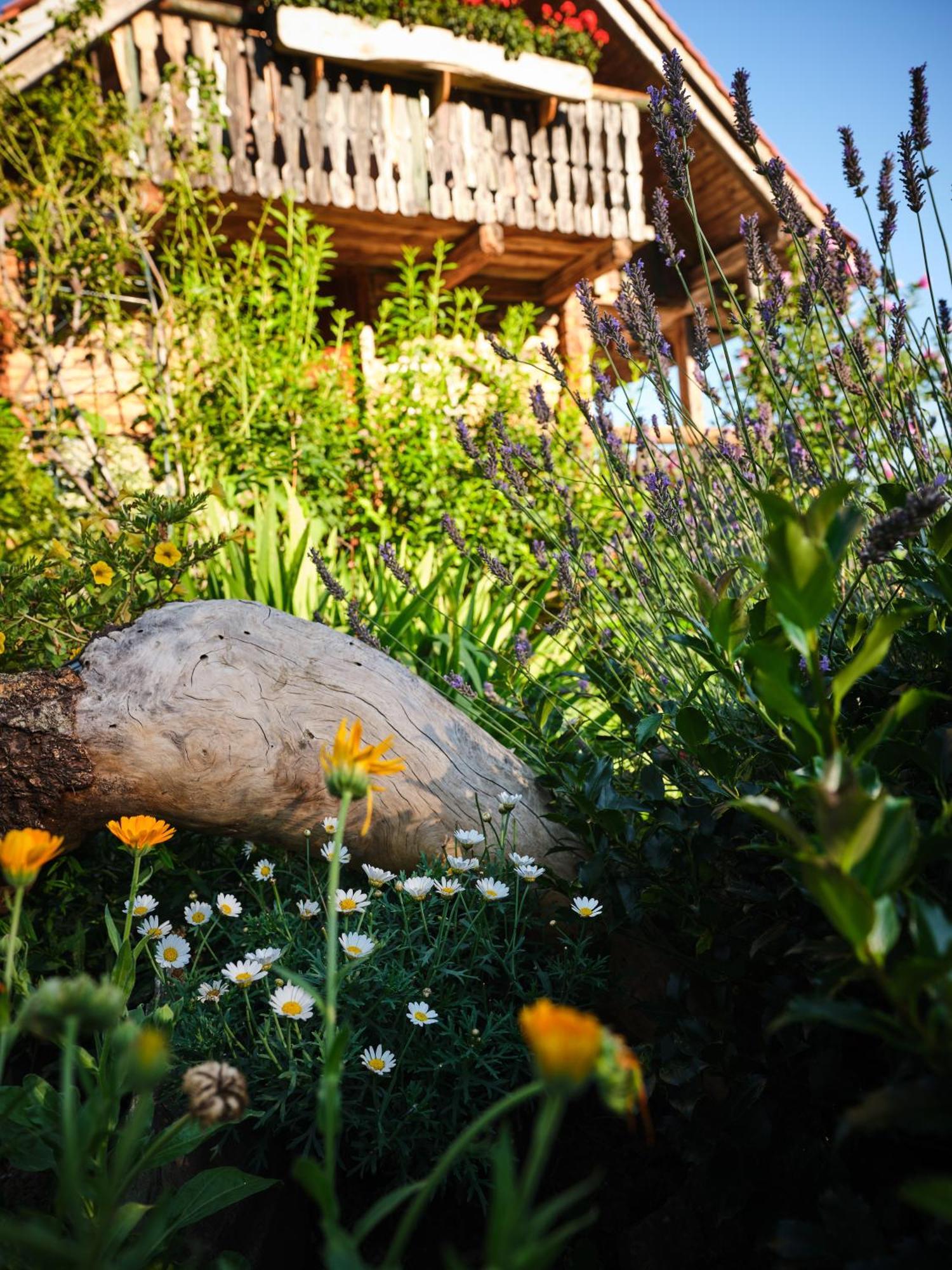 Chalets Toplak Sveti Duh na Ostrem Vrhu Exterior foto